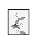 Mini Salvia 25 x 21 cm
