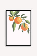 Naranja Viva