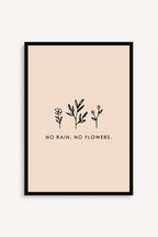 No Rain, No Flowers