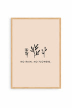 No Rain, No Flowers