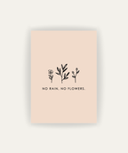 No Rain, No Flowers