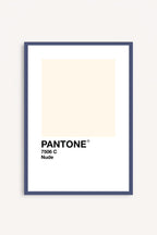Nude Pantone