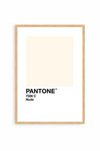 Nude Pantone