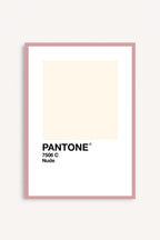 Nude Pantone