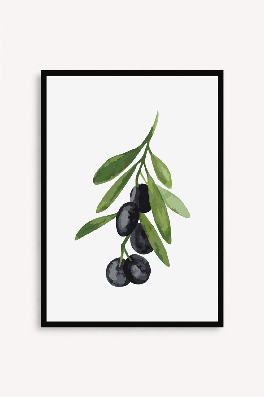 Oliva