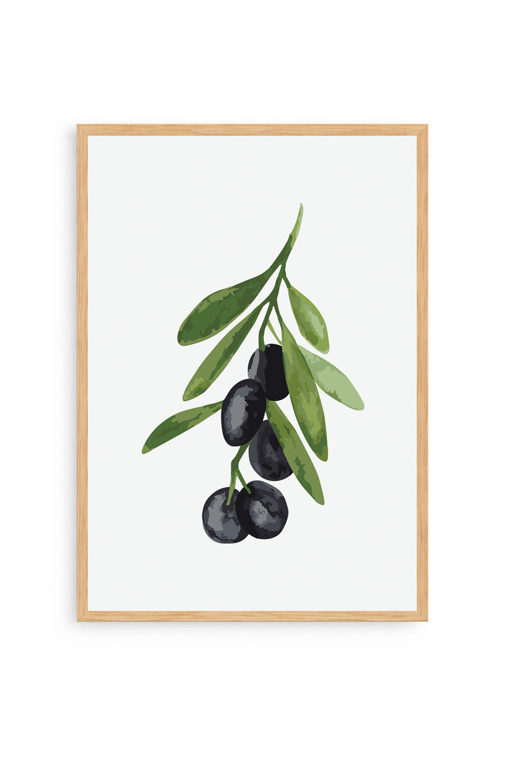 Oliva