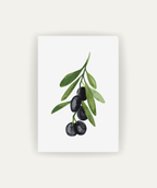 Oliva