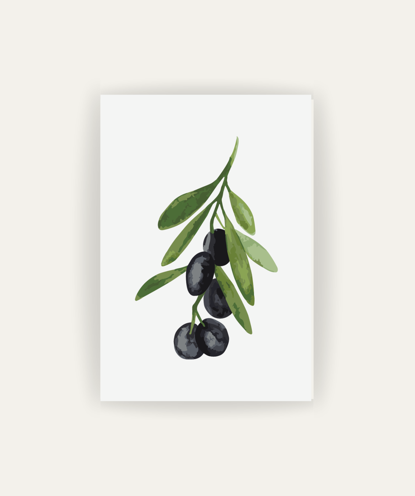 Oliva