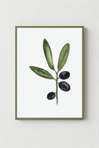 Olive