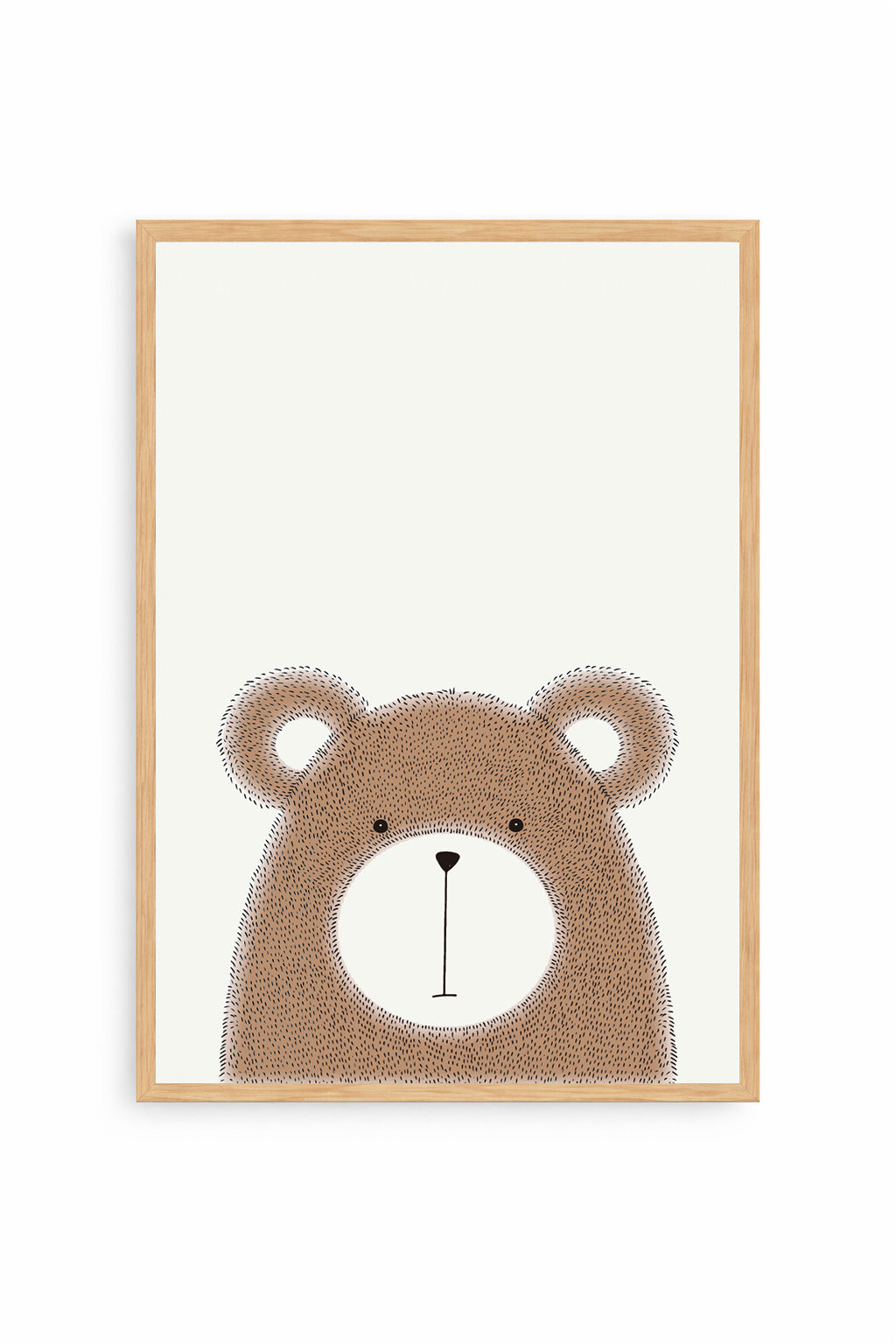 Oso Curioso