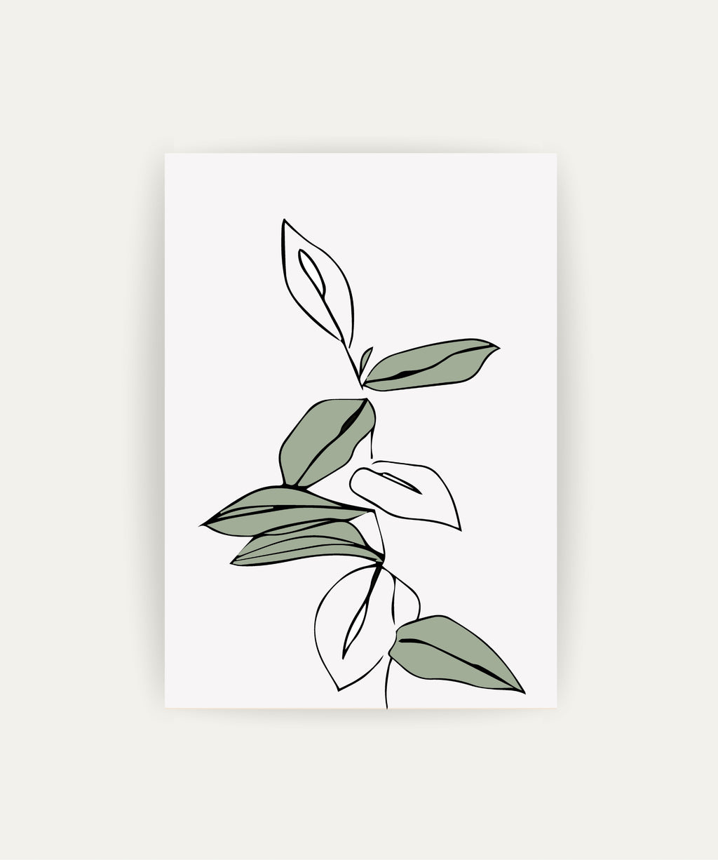 Cuadro Salvia