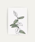 Cuadro Salvia