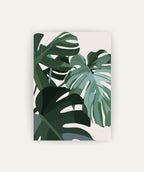 Cuadro Monstera