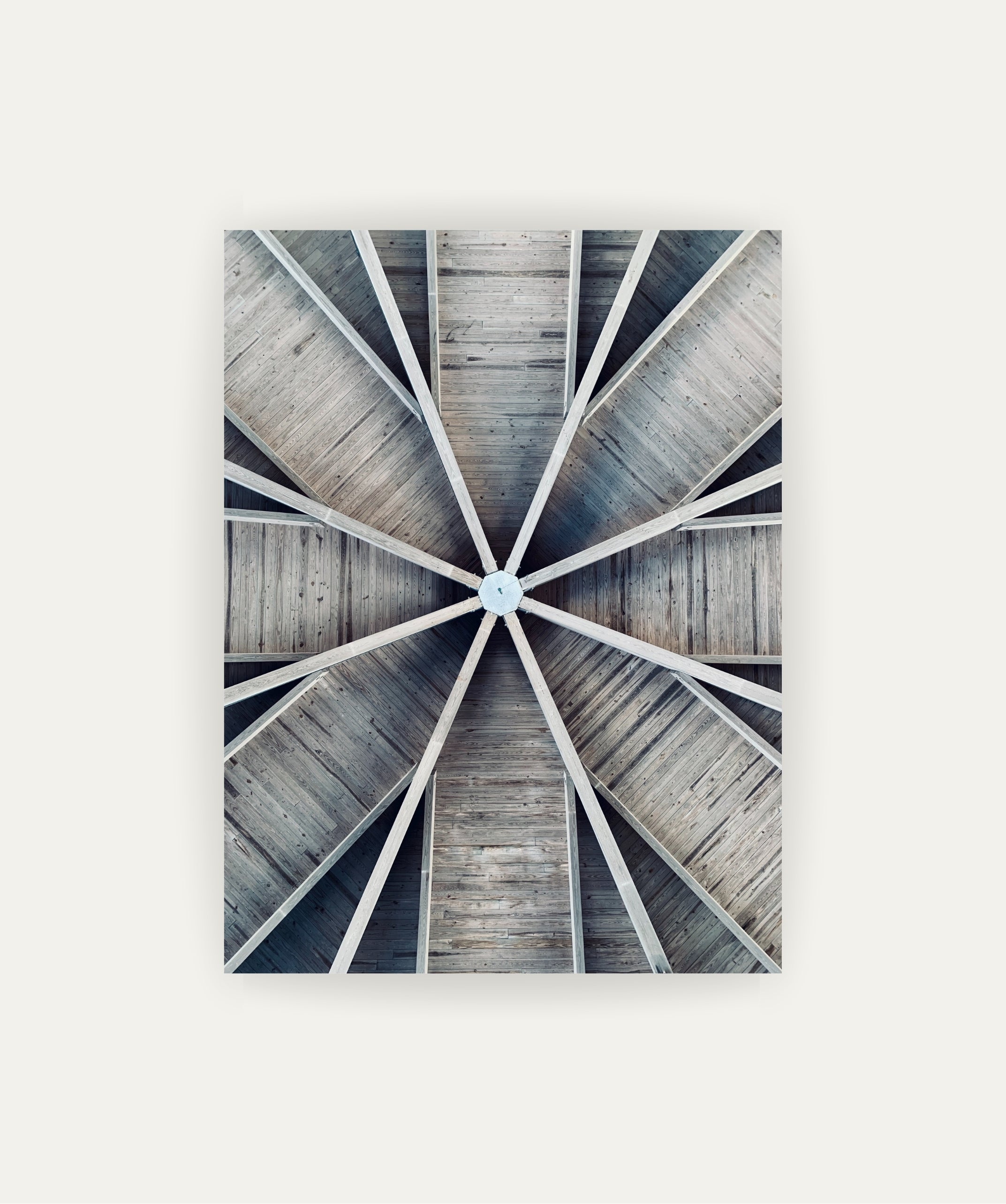 Muelle 360