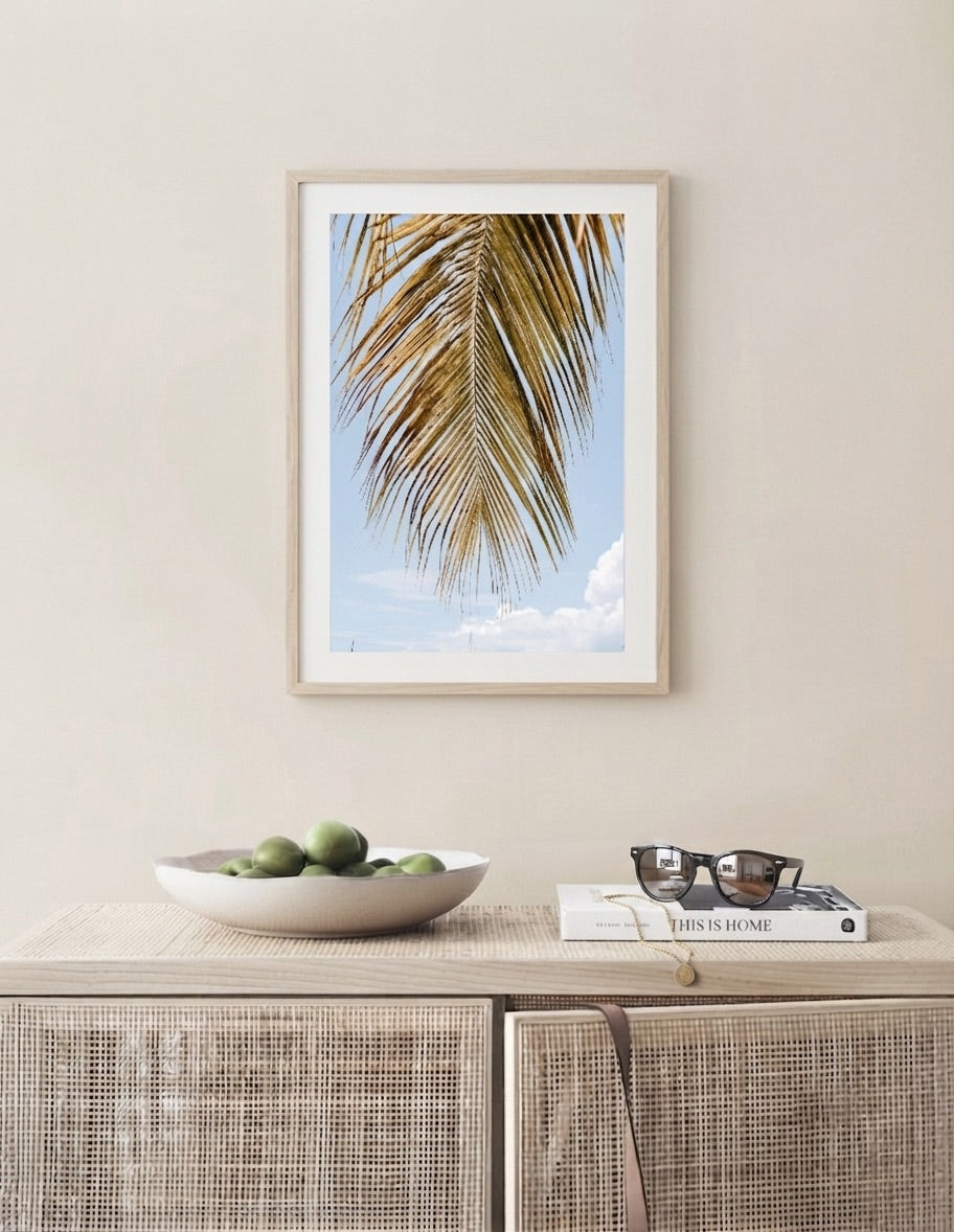 Palm Breeze