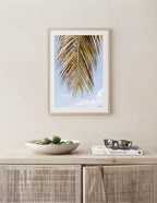 Palm Breeze
