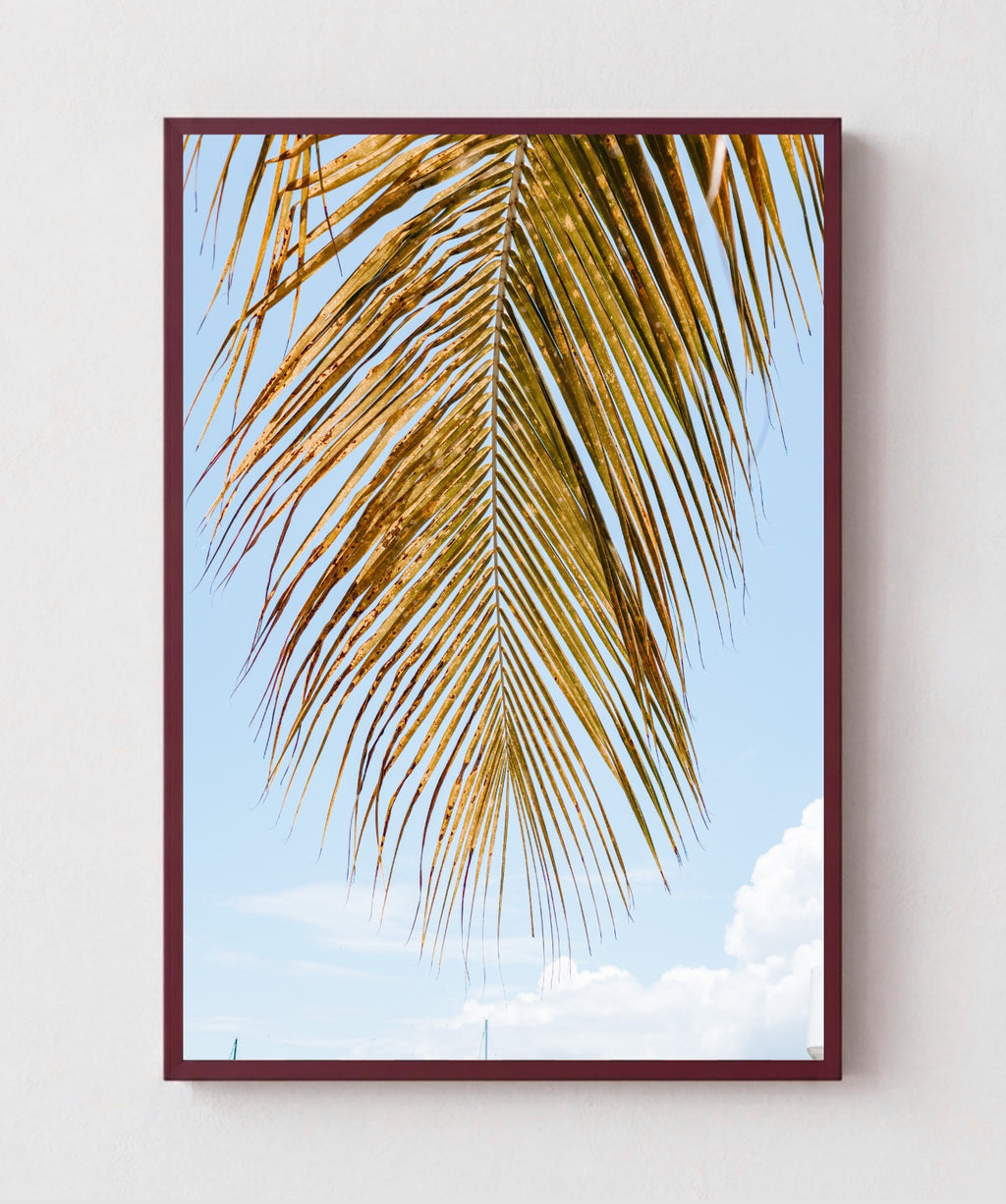 Palm Breeze