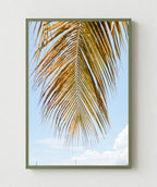 Palm Breeze