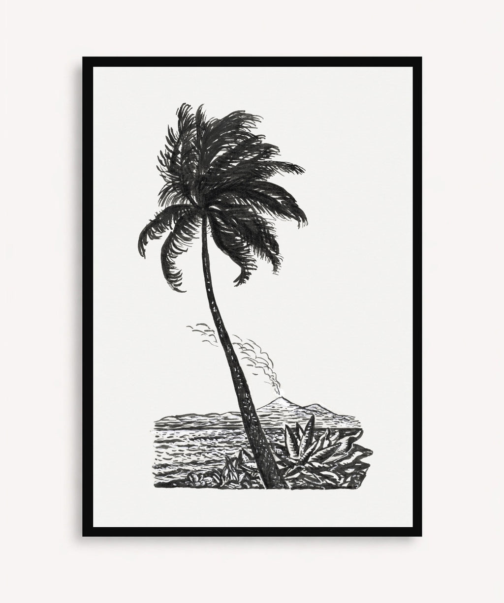 Palm Tree Drawing