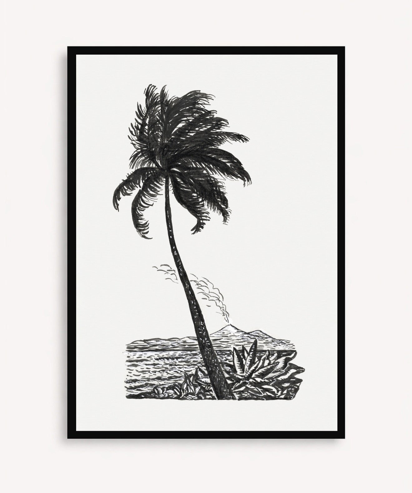 Palm Tree Drawing