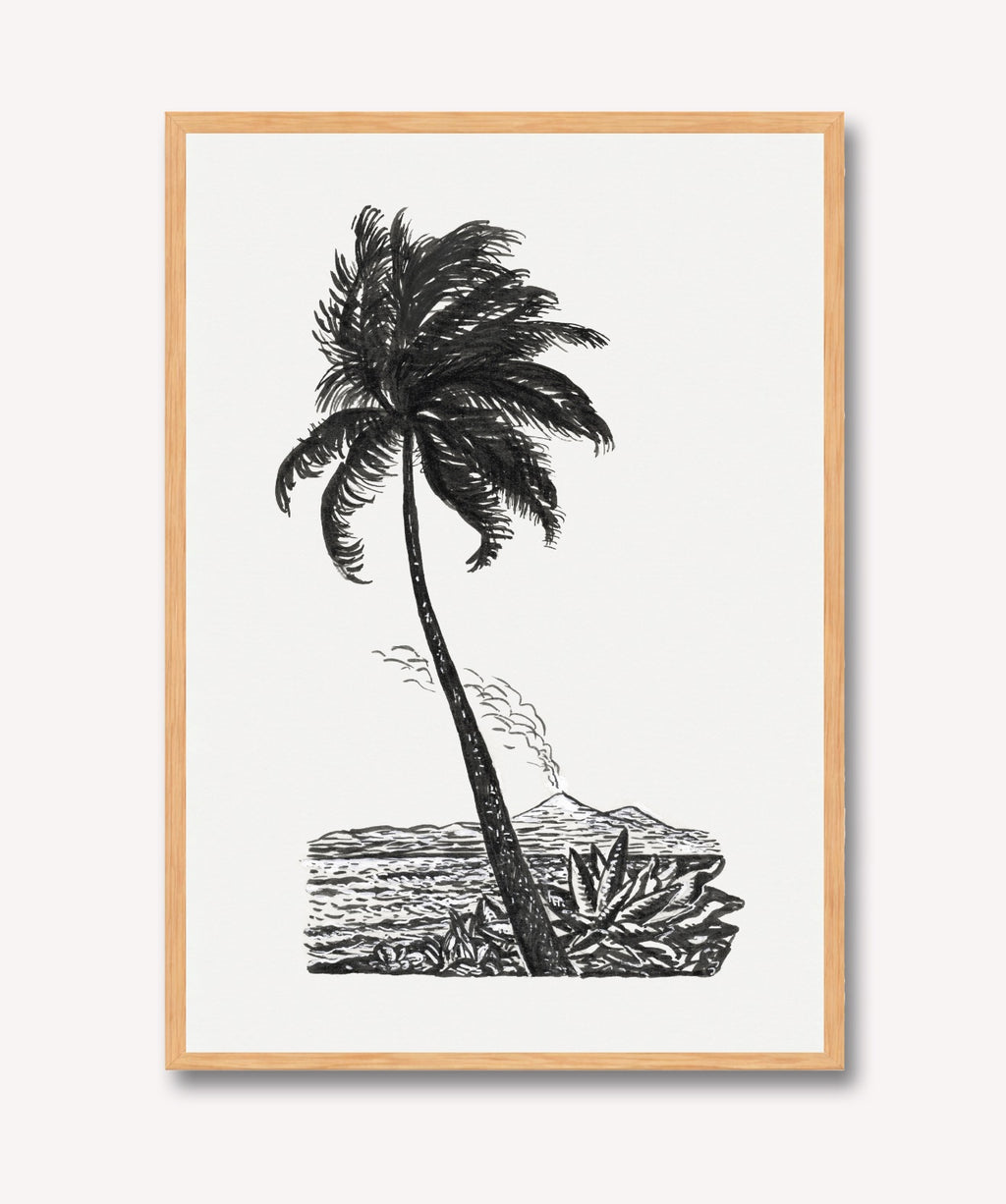 Palm Tree Drawing