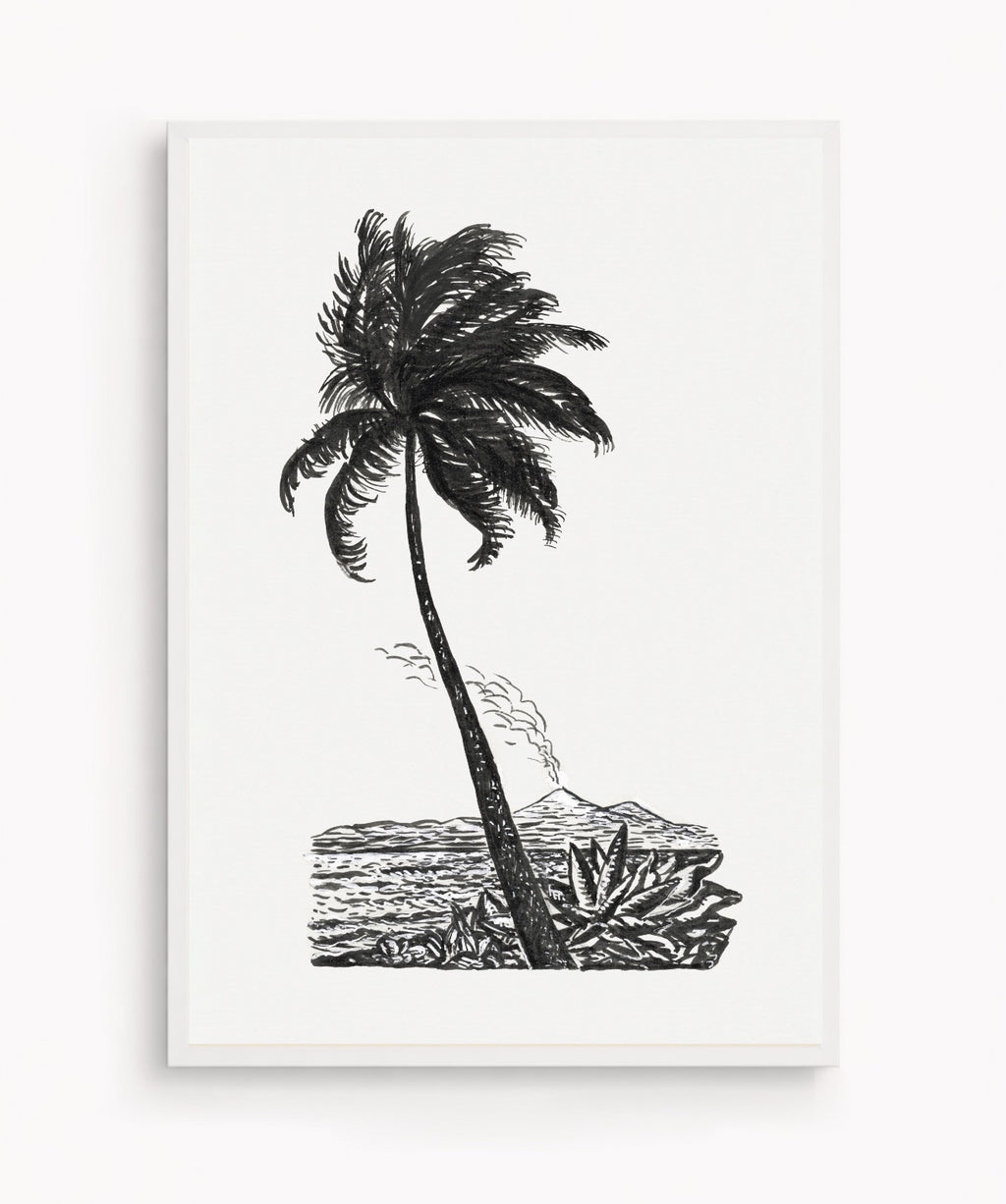 Palm Tree Drawing