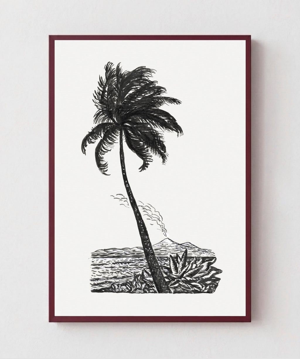Palm Tree Drawing