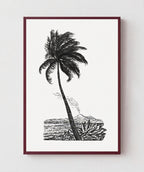 Palm Tree Drawing