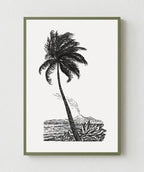 Palm Tree Drawing