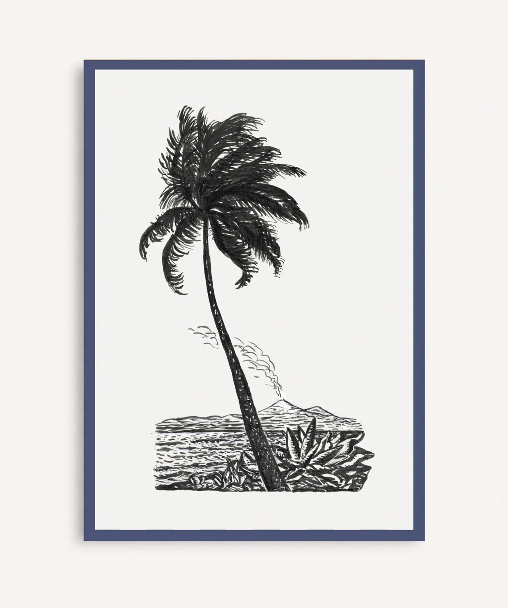 Palm Tree Drawing
