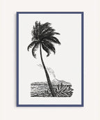 Palm Tree Drawing