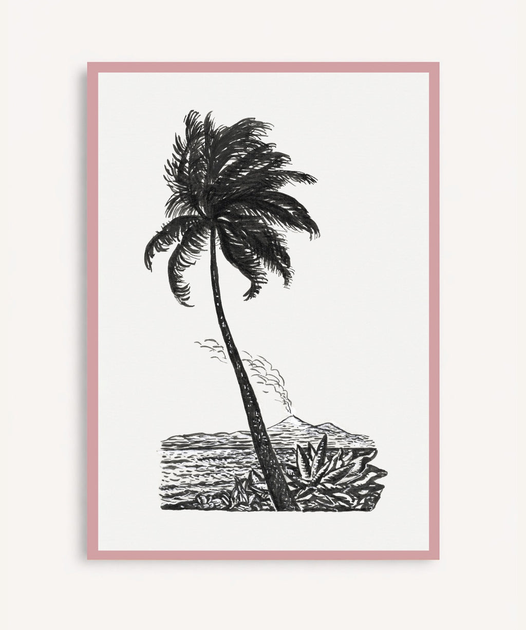 Palm Tree Drawing