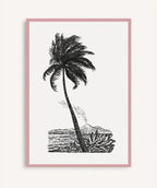 Palm Tree Drawing