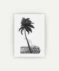 Palm Tree Drawing
