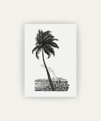 Palm Tree Drawing