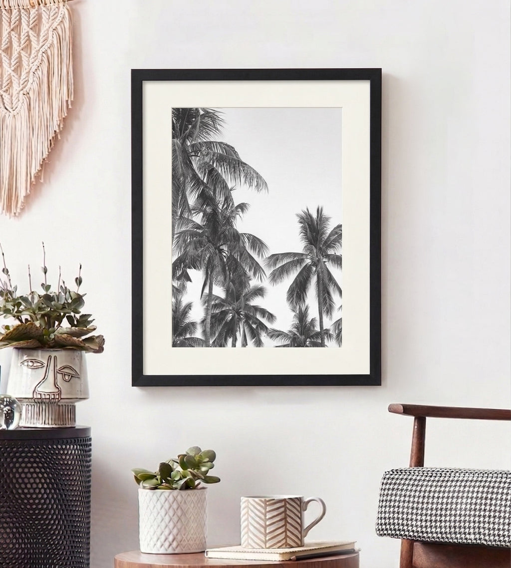 Palm Trees ByN