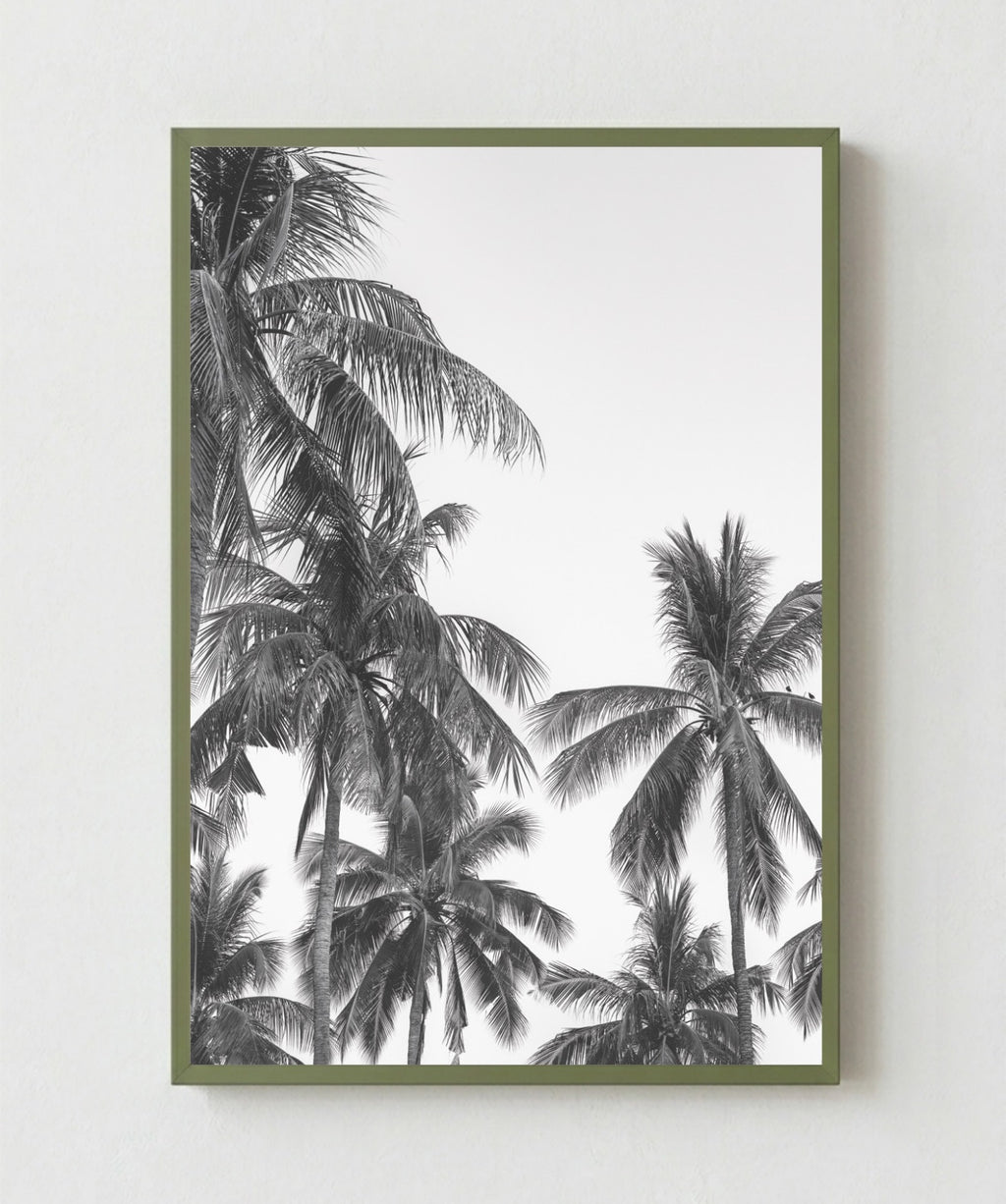 Palm Trees ByN