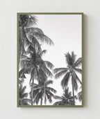 Palm Trees ByN