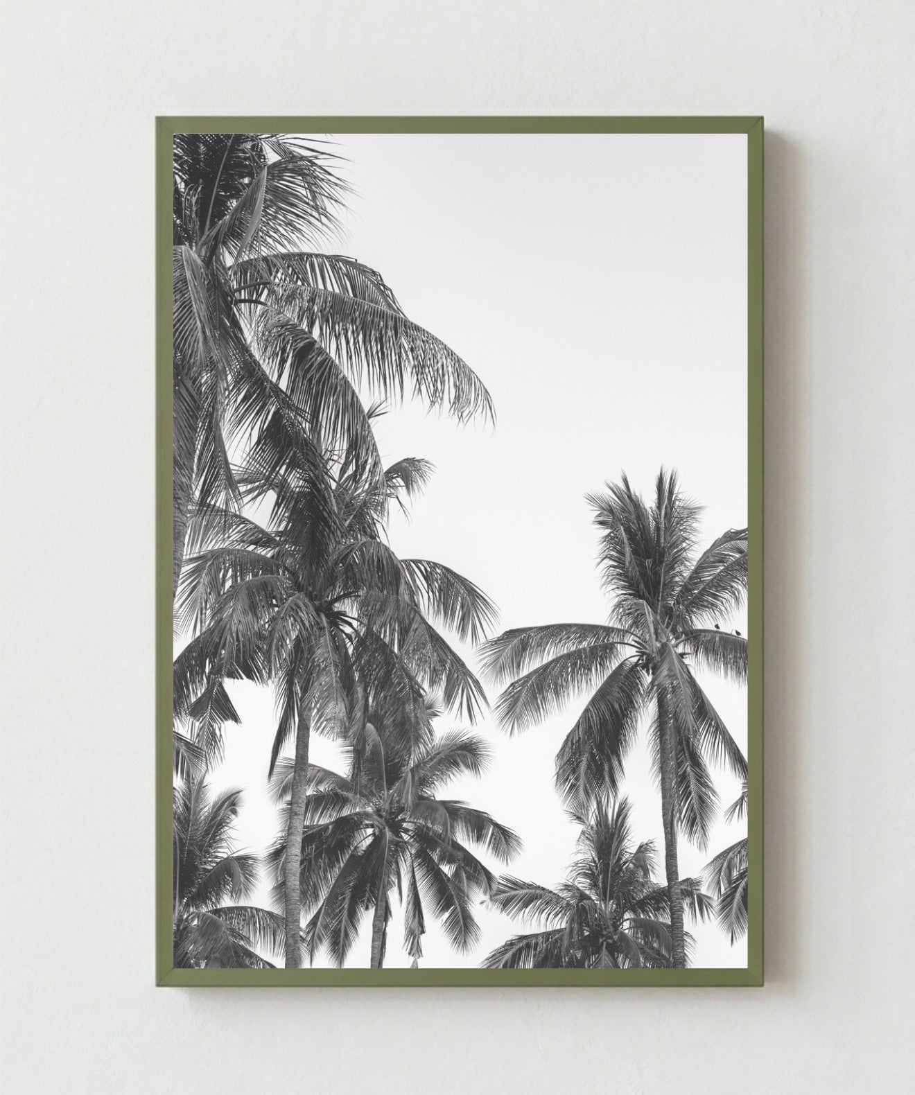 Palm Trees ByN