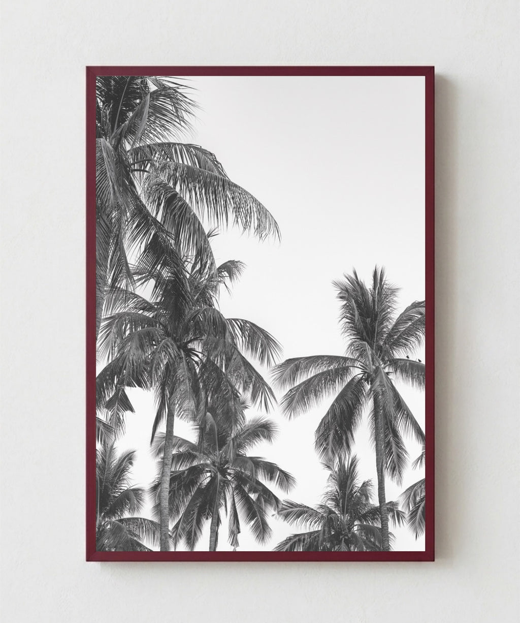 Palm Trees ByN