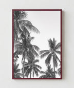 Palm Trees ByN
