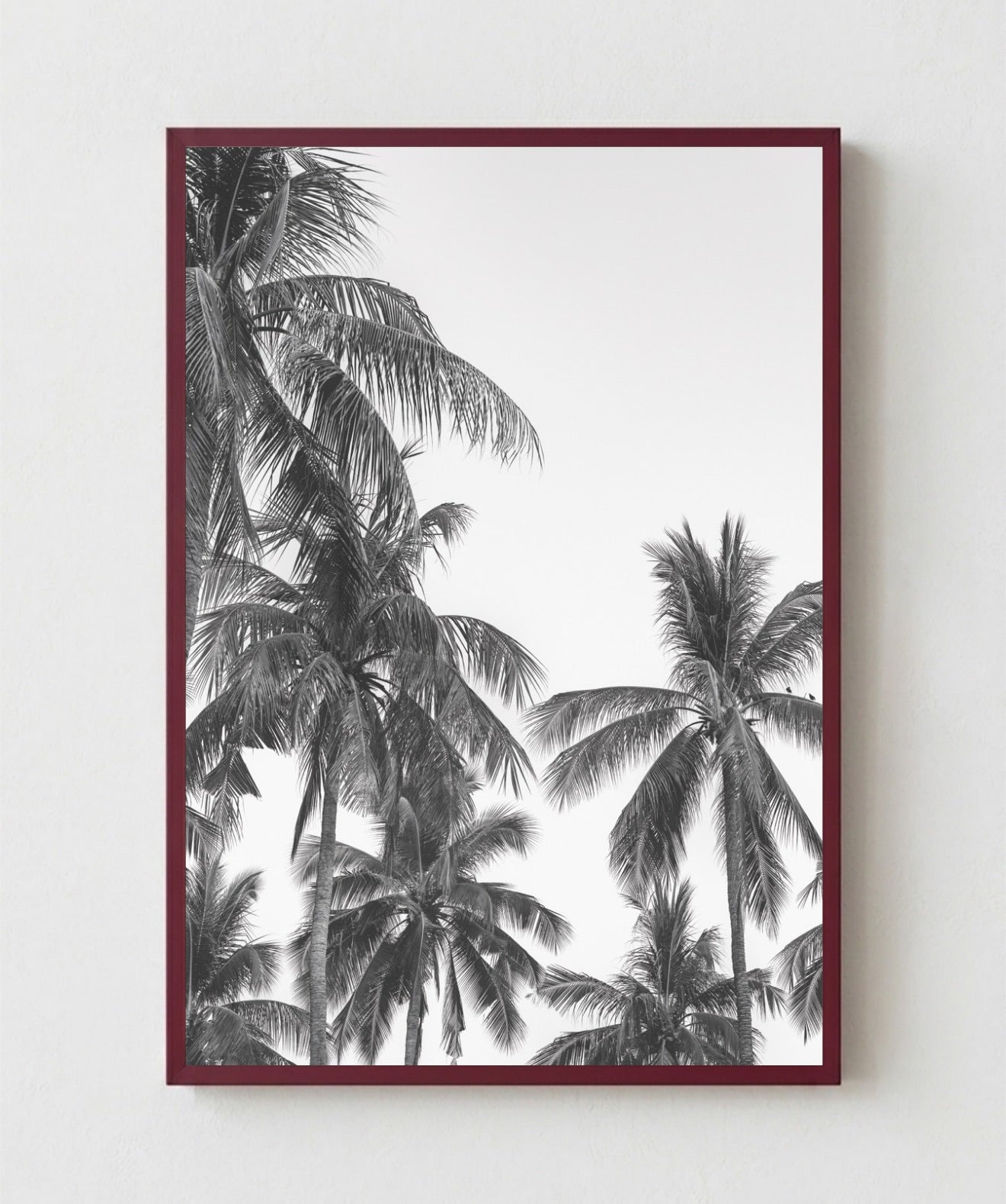 Palm Trees ByN