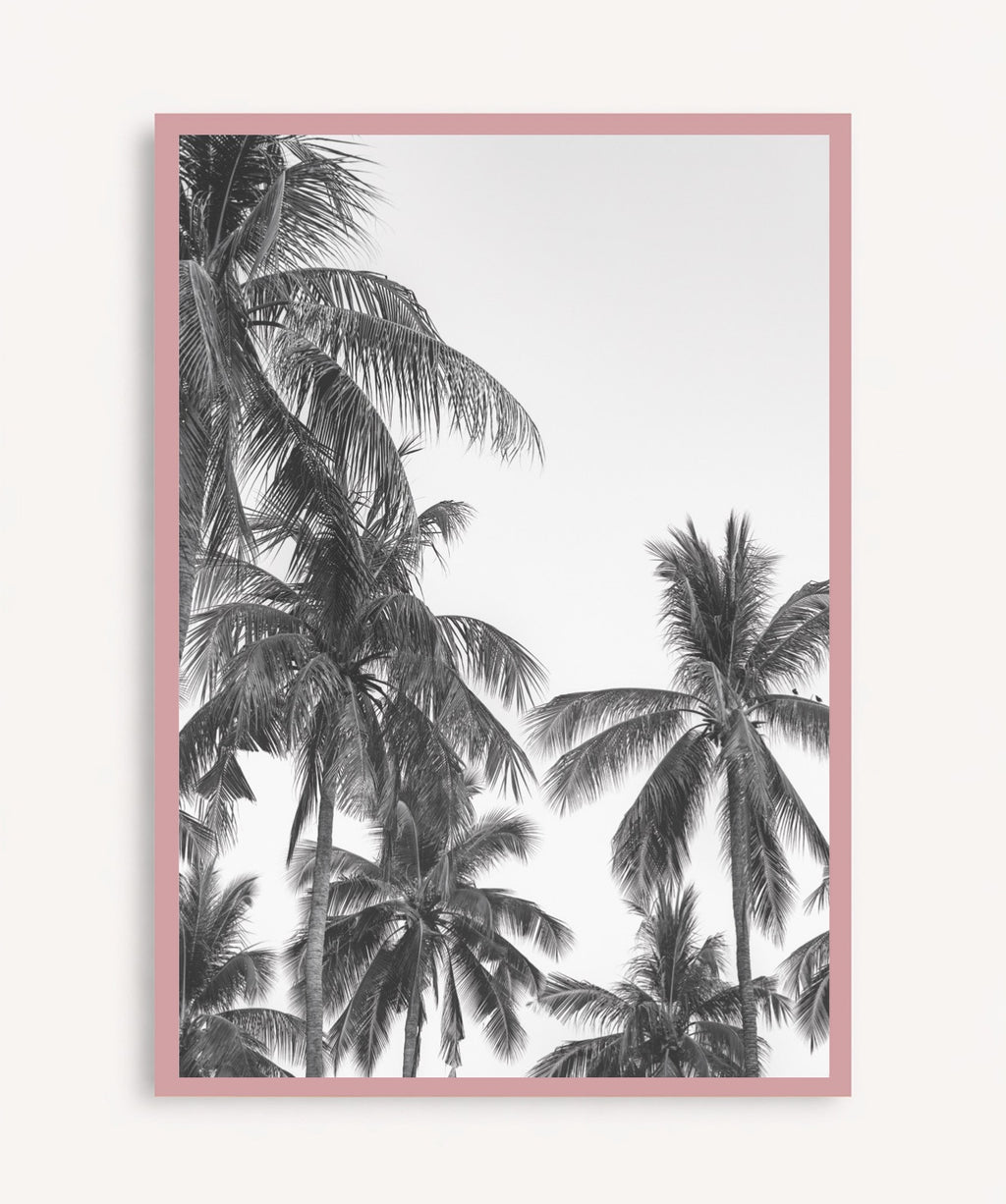 Palm Trees ByN