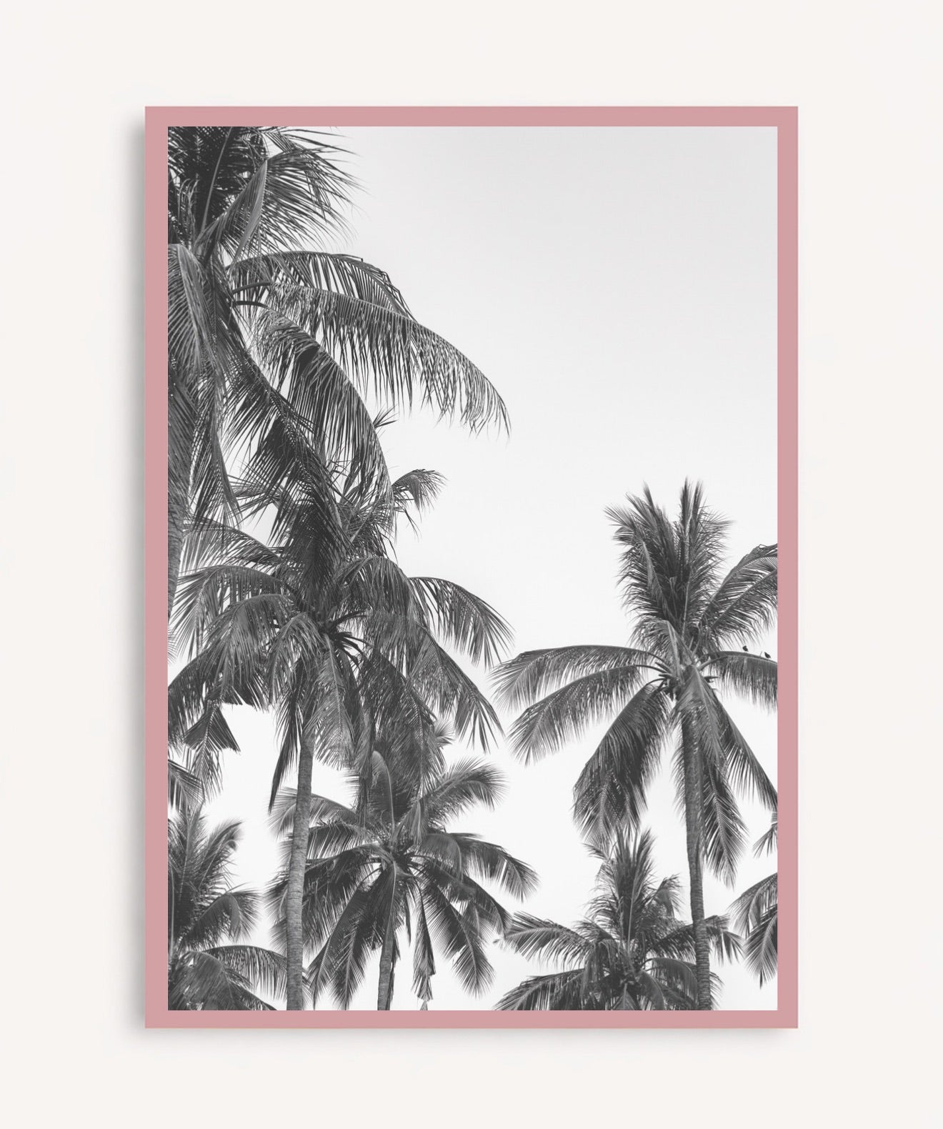 Palm Trees ByN