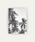 Palm Trees ByN
