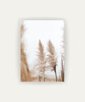 Pampas I