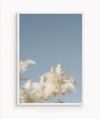Pampas Blancas