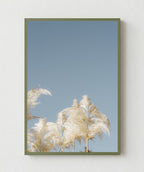 Pampas Blancas