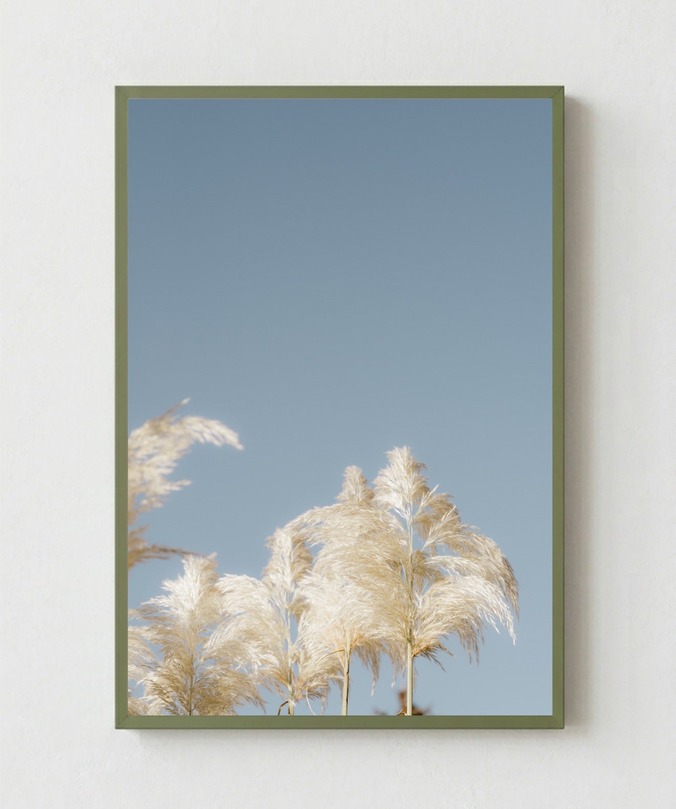 Pampas Blancas