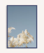 Pampas Blancas